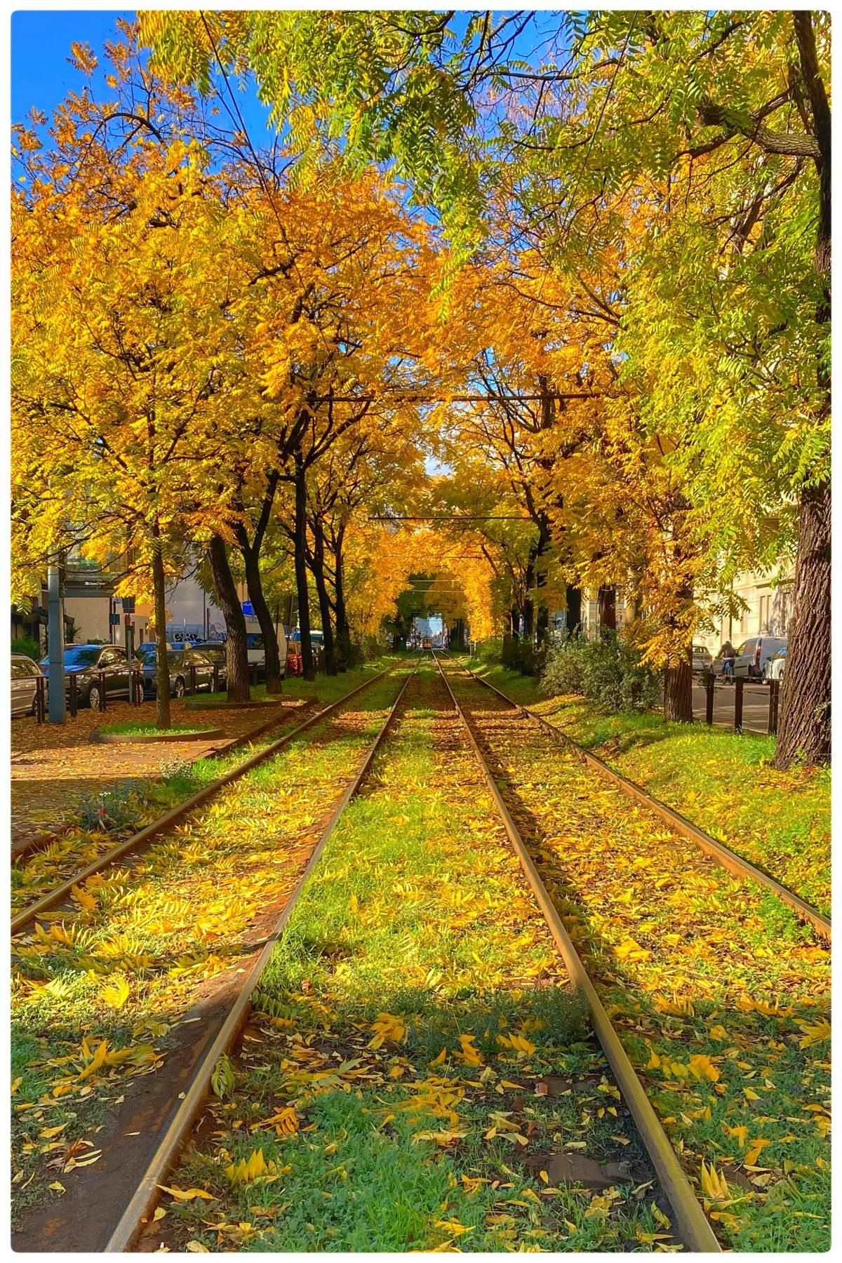 Binari ferroviari tra alberi dai colori autunnali